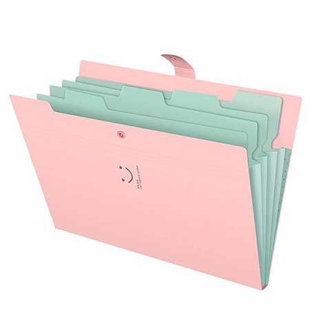 Amazon.com : Skydue Letter A4 Paper Expanding File Folder Pockets Accordion Document Organizer (Pink) : Gateway