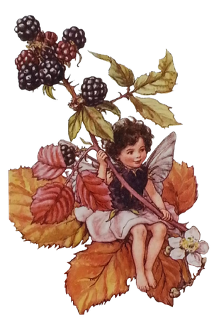 ✧* Vintage Flower Fairies by Cicely Mary Barker ✧*