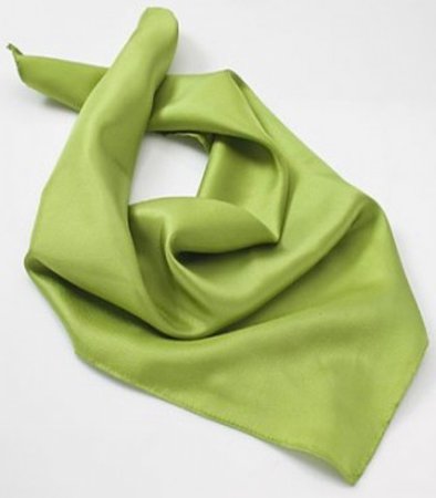 Green neck scarf