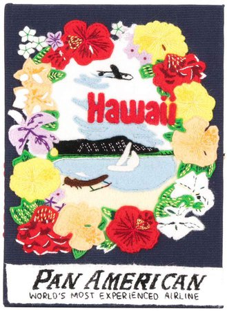 Hawaii book clutch