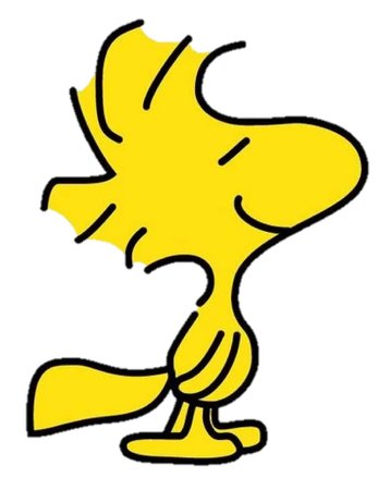 Woodstock Charlie Brown