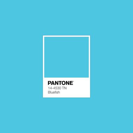 Pantone Bonnie Blue - Google Search