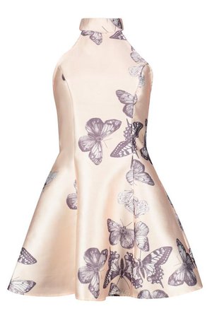 Silvia Sateen Butterfly Print Fit and Flare Dress | Boohoo