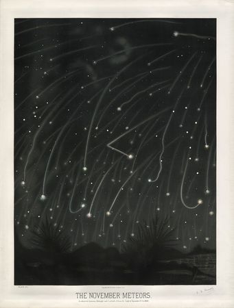 File:Trouvelot- The November meteors. - 1868