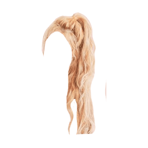 Ponytail Blonde Hair PNG