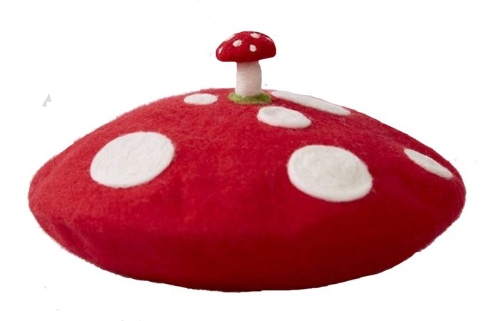 Collecting Life Needle Felted Red Polka Dot Mushroom Beret