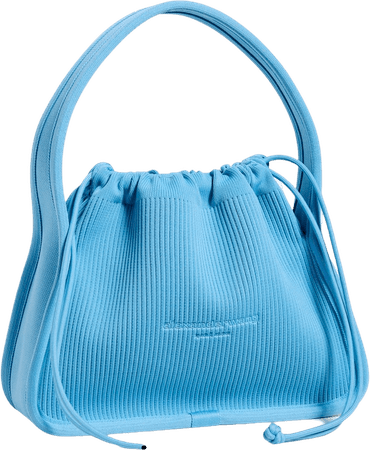 blue Alexander Wang bag