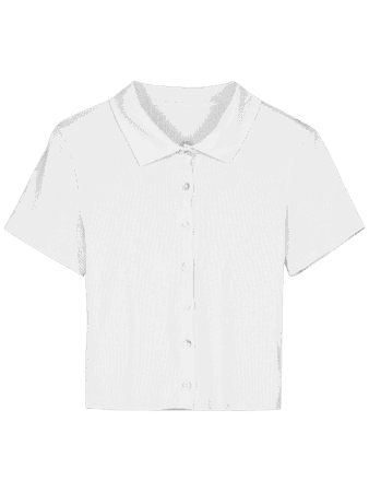 Button Up Shirt Collar Crop Tee - White M
