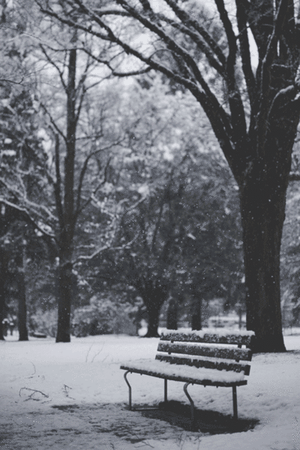 winter gif | Tumblr