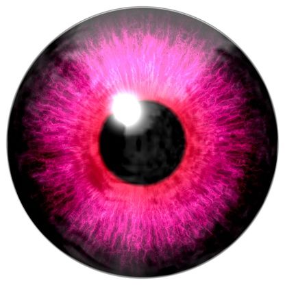 detail-of-eye-with-pink-colored-iris-and-black-pupil.jpg (416×416)