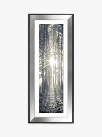 Assaf Frank - Through The Trees I Framed Print & Mount, 100 x 40cm at John Lewis & Partners