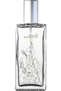 Spring Harvest Eau de Toilette - Irish Perfume – The Burren Perfumery