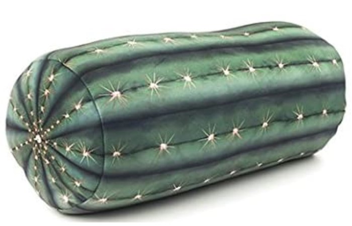 Cactus Neck Pillow
