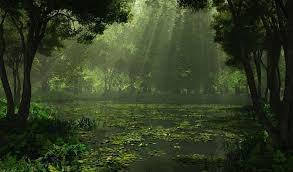 swamp background - Google Search