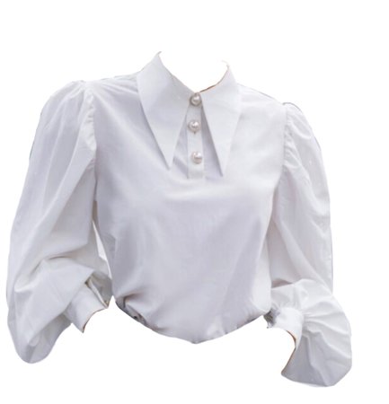 SHEIN Collared Lantern Sleeve Buttoned Front Blouse