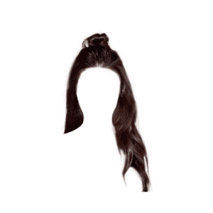 Dark Brown Hair PNG Half Up Knot
