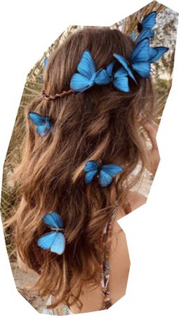 brown hair butterfly blue