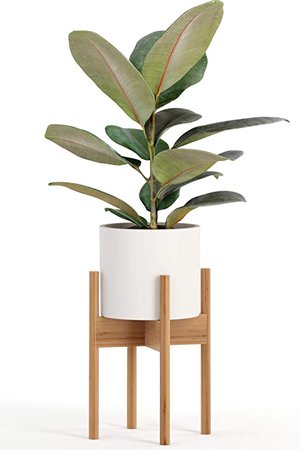Amazon.com : Fox & Fern Mid-Century Modern Plant Stand - Bamboo - EXCLUDING 8" White Ceramic Plant Pot : Garden & Outdoor