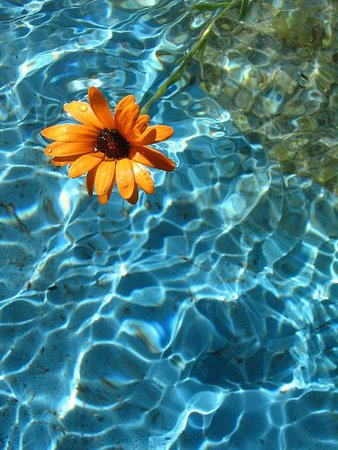 blue aesthetic water pool