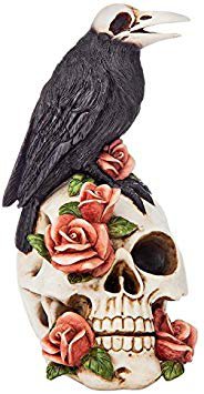 Design Toscano Raven and Roses Day of The Dead Gothic Skull Statue, 19 cm, Polyresin,: Amazon.ca: Home & Kitchen
