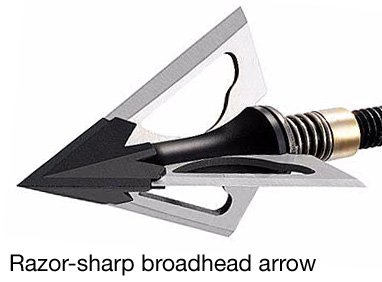 bow and arrow sharp - Google Search