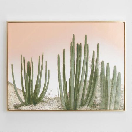 Cactus with Gold Frame | World Market