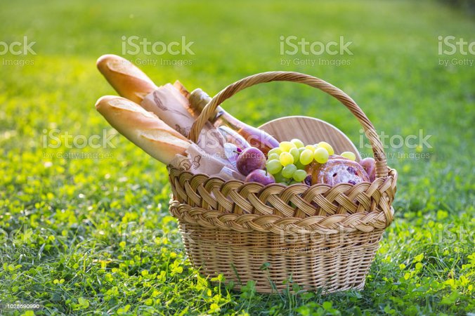 summer-picnic-in-the-meadow-picture-id1028690990 (1024×682)