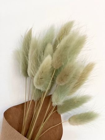 Pastel Mint Green Bunny Tails - Amz Loves