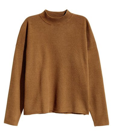 turtleneck brown sweater