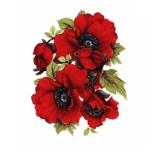 red & black flowers