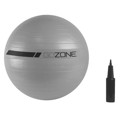 GoZone 65cm Exercise Ball - With Handpump, Grey Combo | Walmart Canada