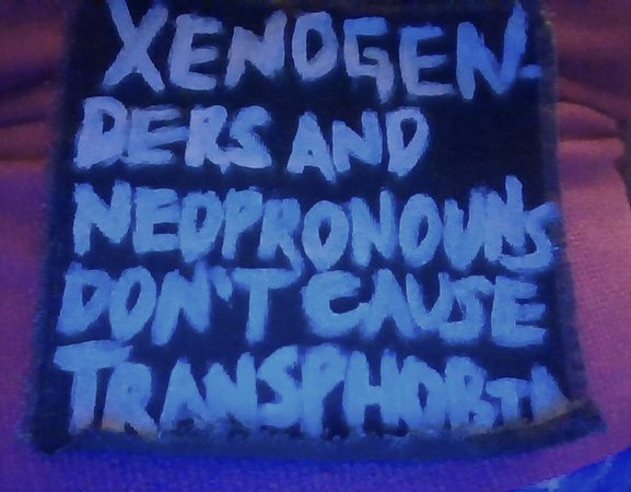 Stop blaming xenogenders and neopronouns for transphobia! Trans rights, xenogender, pronouns, mogai punk patch  | CowboyYeehaww
