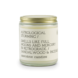 Adulting Fig & Cashmere Candle – Anecdote Candles