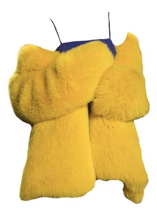 fluffy yellow coat