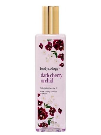 Dark Cherry Orchid Bodycology perfume - a fragrance for women 2013