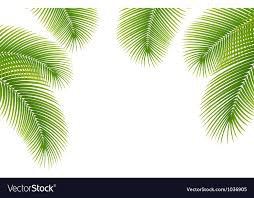 palm tree background - Google Search