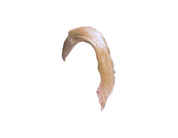 Blonde Shaved Side Hair (HVST edit)