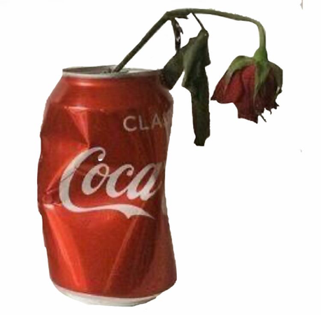 rose in a can