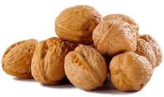 walnut - Google Search