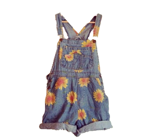 blue jean overalls png