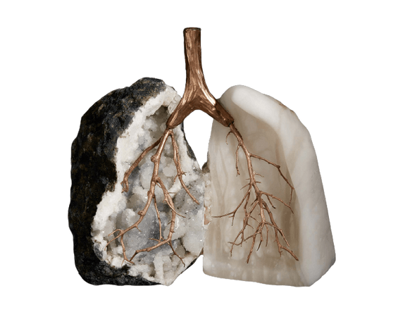 Crystal lungs by Debra Baxter