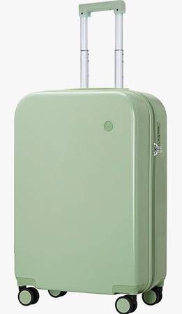 sage green suitcase