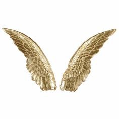 Pinterest (Pin) (29) wings 4