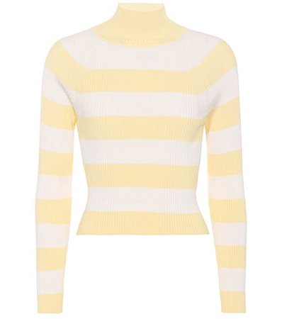 Whitewave striped ribbed top