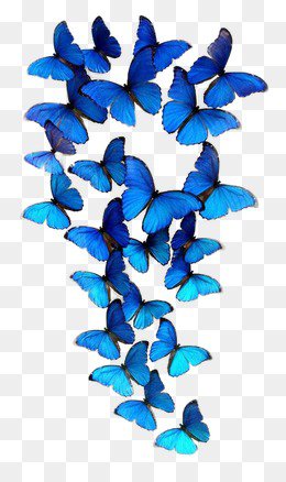 Blue Butterfly PNG Images | Vectors and PSD Files | Free Download on Pngtree