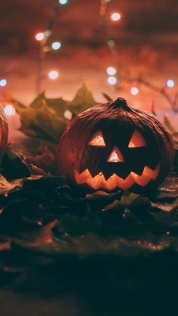 spooky halloween pumpkin aesthetic