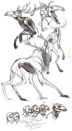 creature sketch