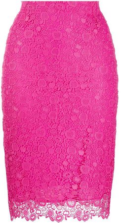 Lace Embroidered Pencil Skirt