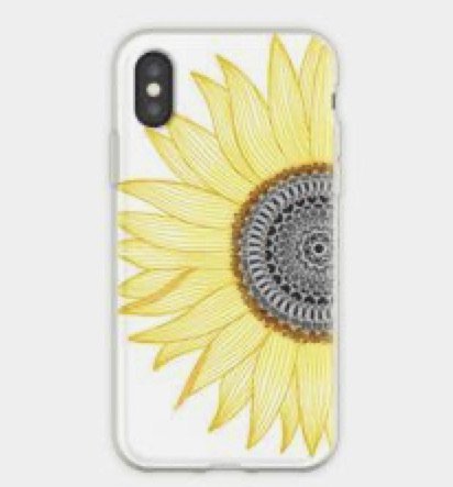 sunflower case 1