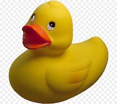 rubber duck png